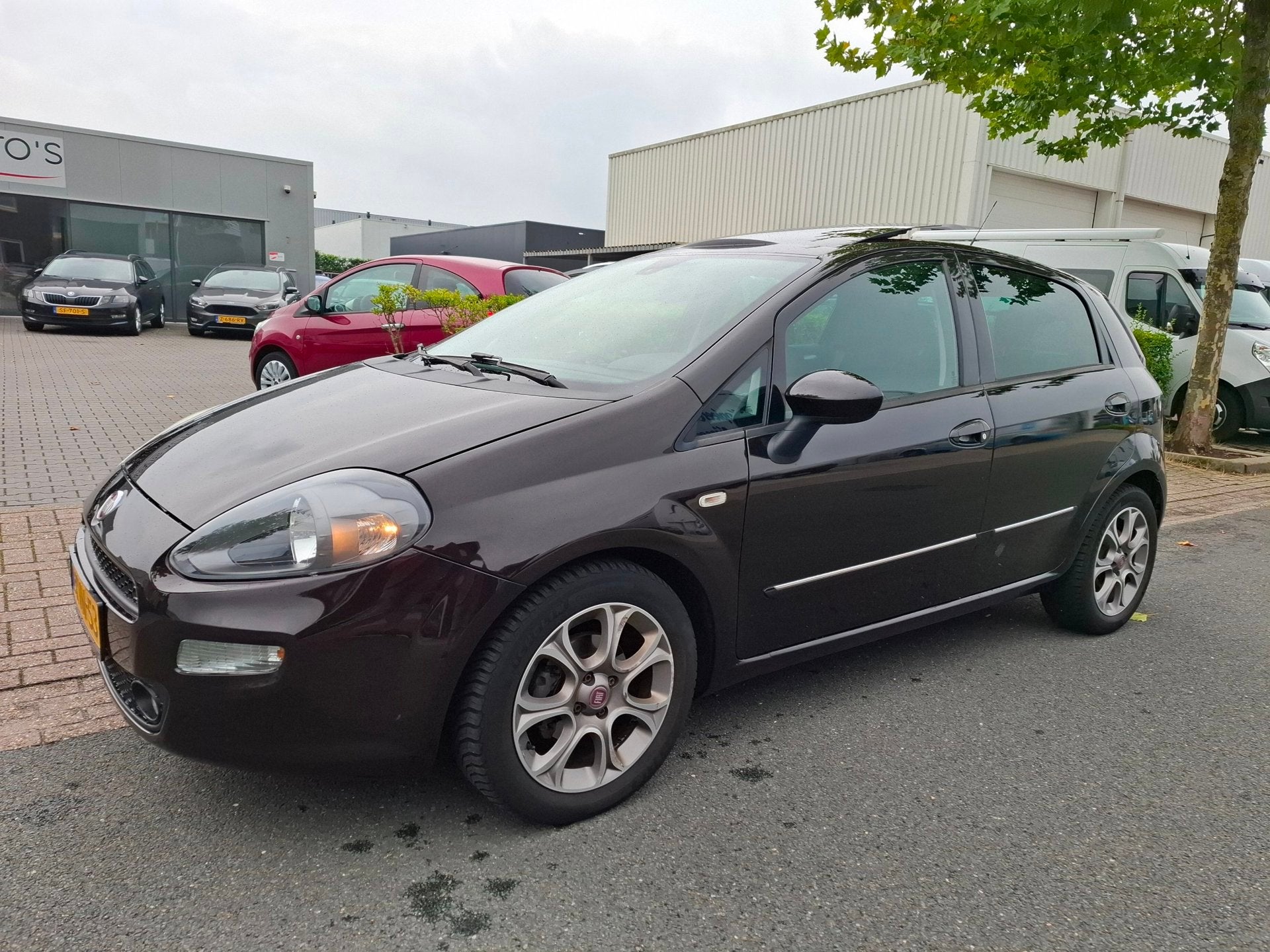 Fiat Punto Evo 0.9 TwinAir Lounge CLIMA/CRUISE/PANO!, Auto's, Fiat, Voorwielaandrijving, Euro 5, 86 pk, Gebruikt