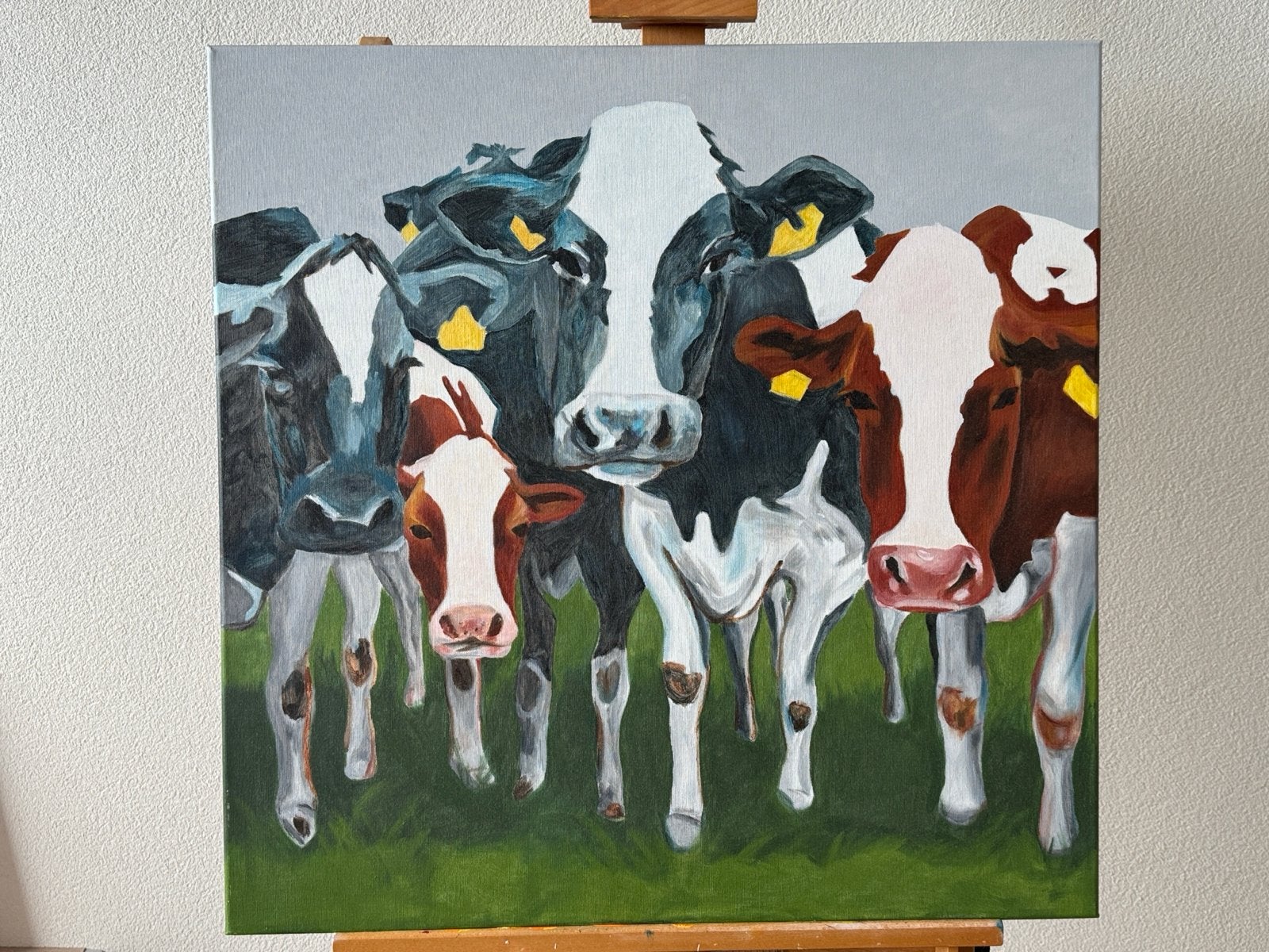 Acrylverf Schilderij Koeien op Linnen Canvas 70x70 cm, Acrylverf, 3D-effect, Ophalen of Verzenden, Dieren