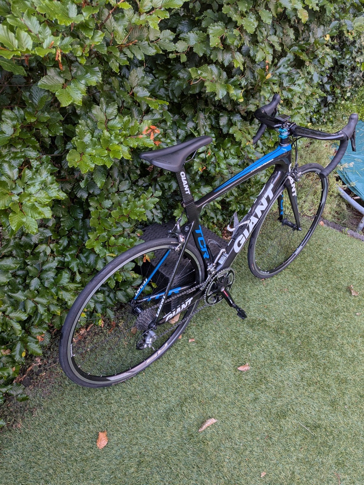 Giant TCR Advanced Carbon racefiets Ultegra M/L, Fietsen en Brommers, Fietsen | Racefietsen, Ophalen, 28 inch, Gebruikt, Velgrem