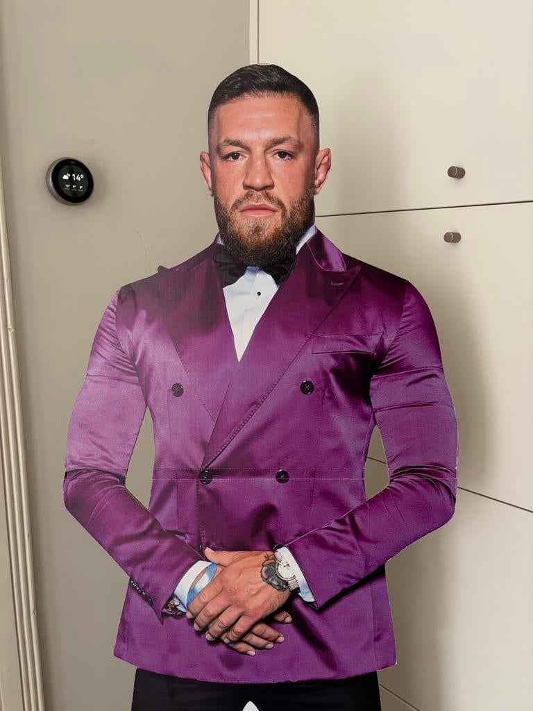 Conor McGregor Kartonnen Uitsnede - Levensgroot, Ophalen, Zo goed als nieuw