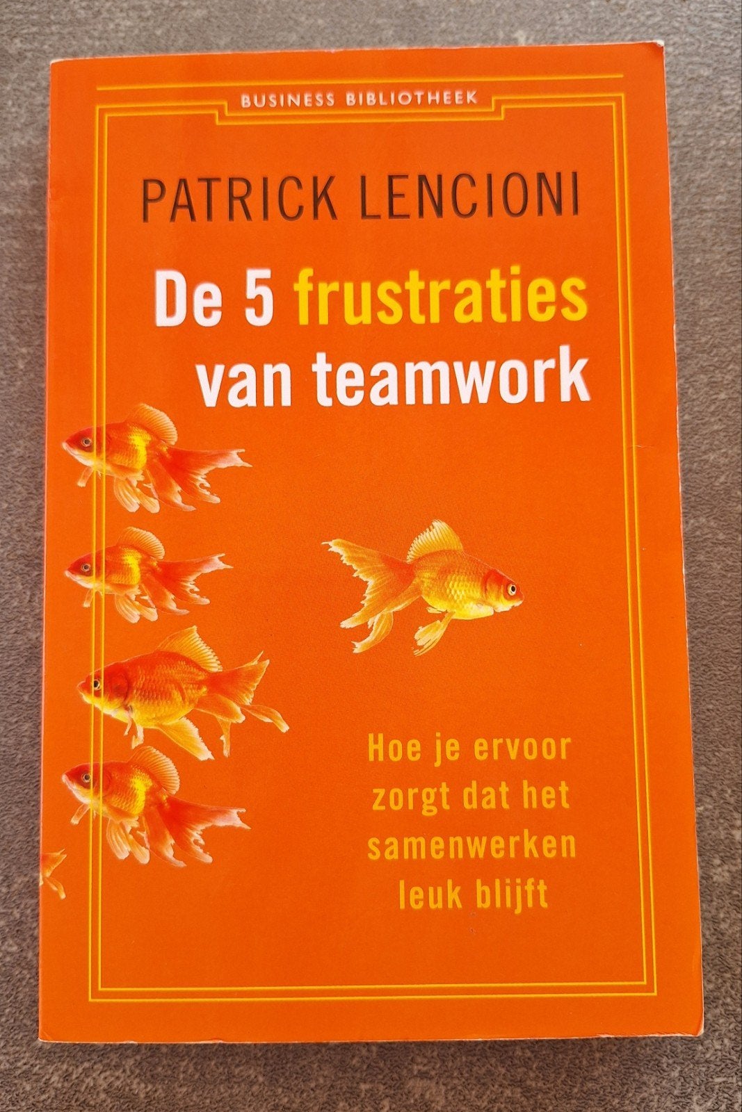 De 5 frustraties van teamwork, Patrick Lencioni (Nieuwstaat), Ophalen of Verzenden, Zo goed als nieuw, Patrick Lencioni