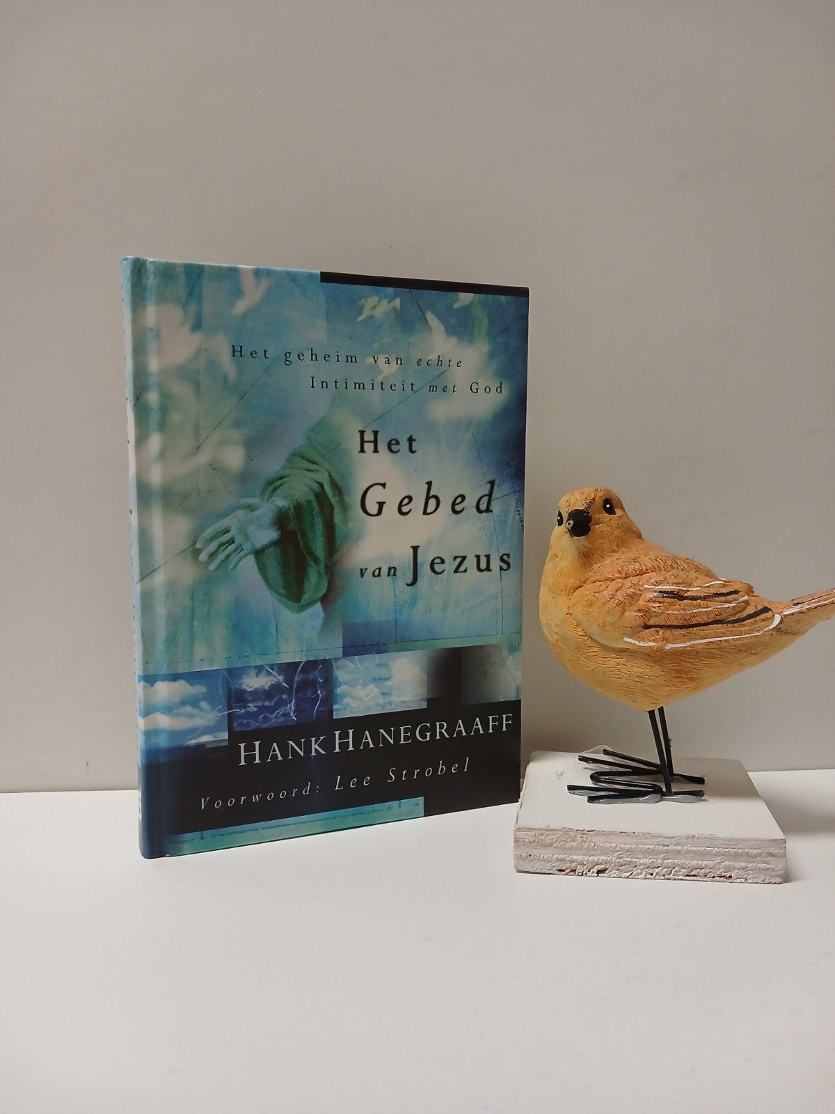 Hanegraaff; Hank; Het gebed van Jezus, Ophalen of Verzenden, Gelezen, Christendom | Protestants