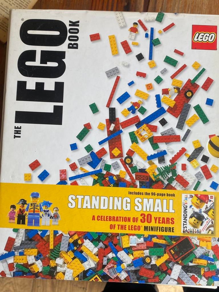 4 LEGO boeken, Ophalen of Verzenden, Zo goed als nieuw