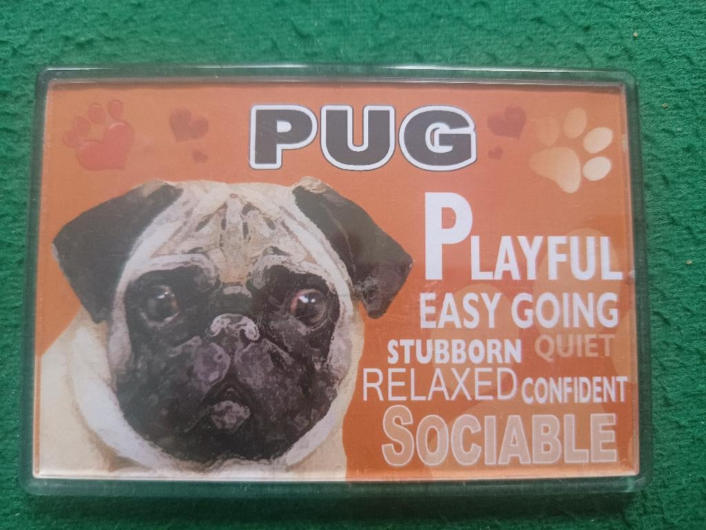 koelkastmagneet Pug (mopshond), Ophalen of Verzenden, Nieuw, Hond of Kat, Overige typen