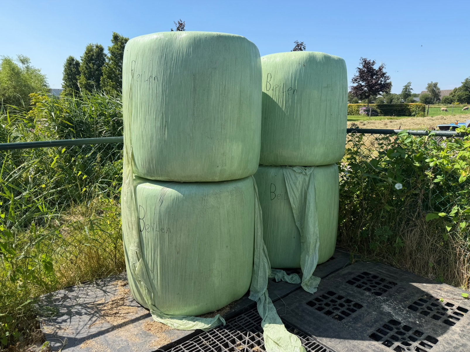 Midibalen gras/hooi, Dieren en Toebehoren, Ophalen, Vee