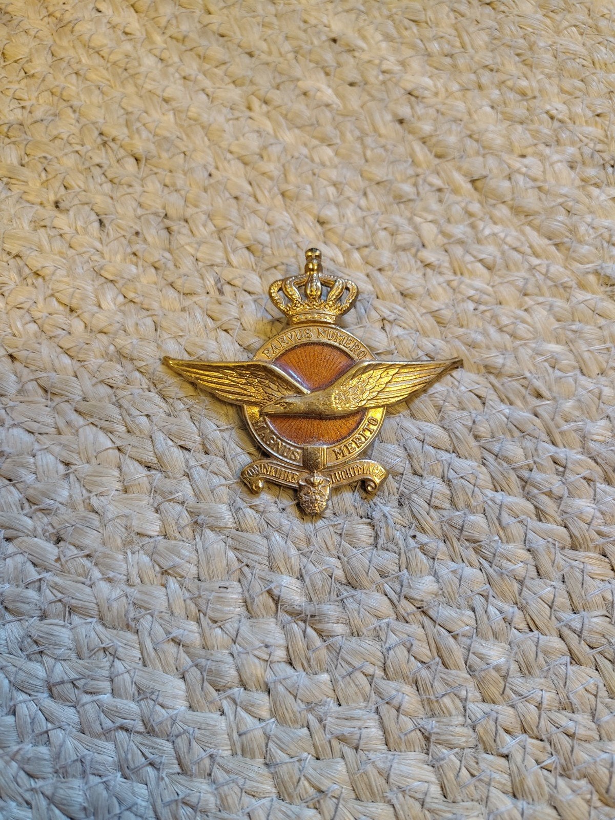 Petembleem Koninklijke Luchtmacht Nederland, Ophalen of Verzenden, Luchtmacht, Nederland, Embleem of Badge