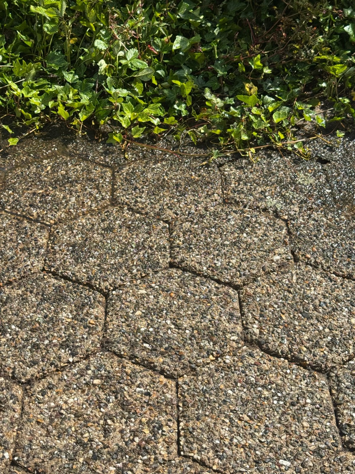 Gratis gebruikte terrastegels, zeshoekig, grindbeton, Ophalen, Gebruikt, 10 m² of meer, Grind
