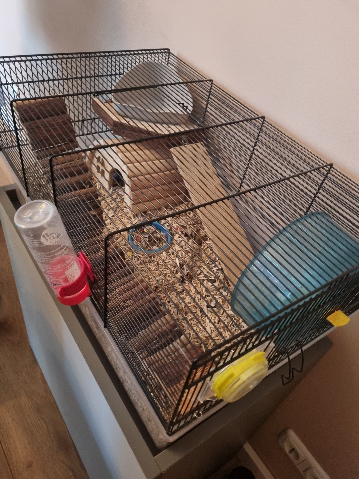 Hamster, kooi en alle toebehoren, Dieren en Toebehoren, Januari, Mannelijk, Hamster