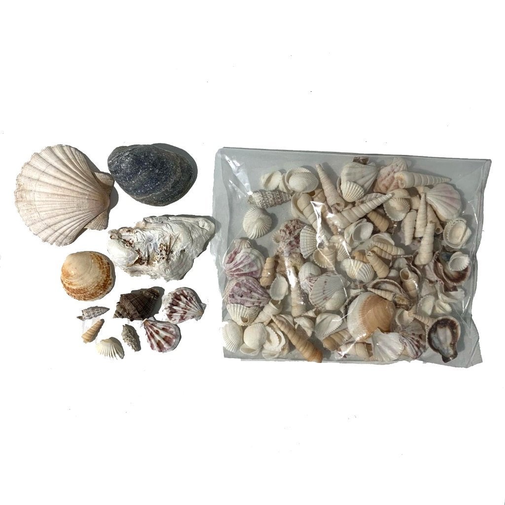 ZOMER decoratie strand schelpen zomerdecoratie, Overige typen, Meerkleurig, Zo goed als nieuw, Overige materialen
