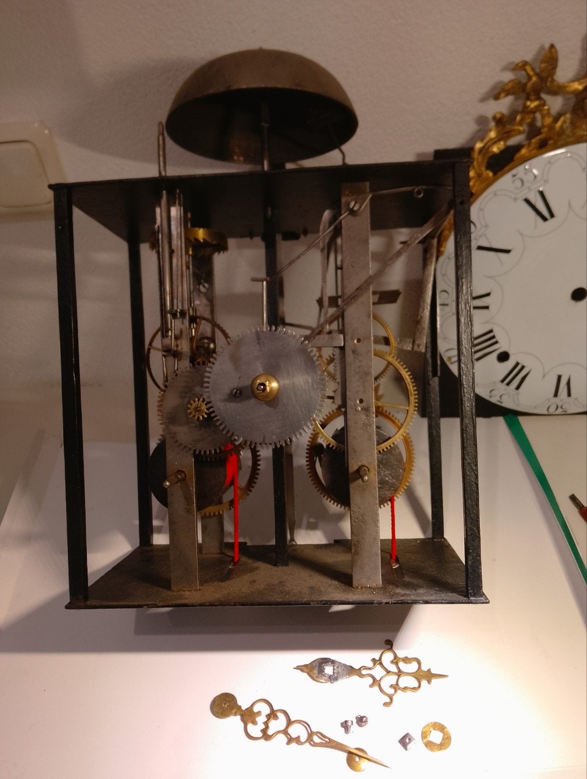 Vroege comtoise kop, Ophalen of Verzenden, Minder dan 50 cm