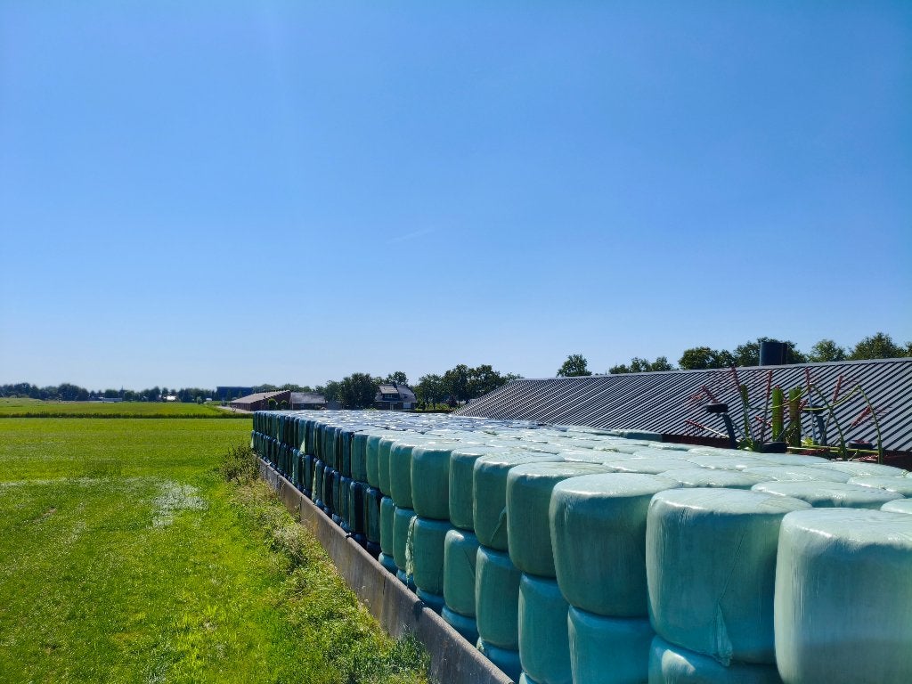 Midi balen hooi, Dieren en Toebehoren, Ophalen, Vee