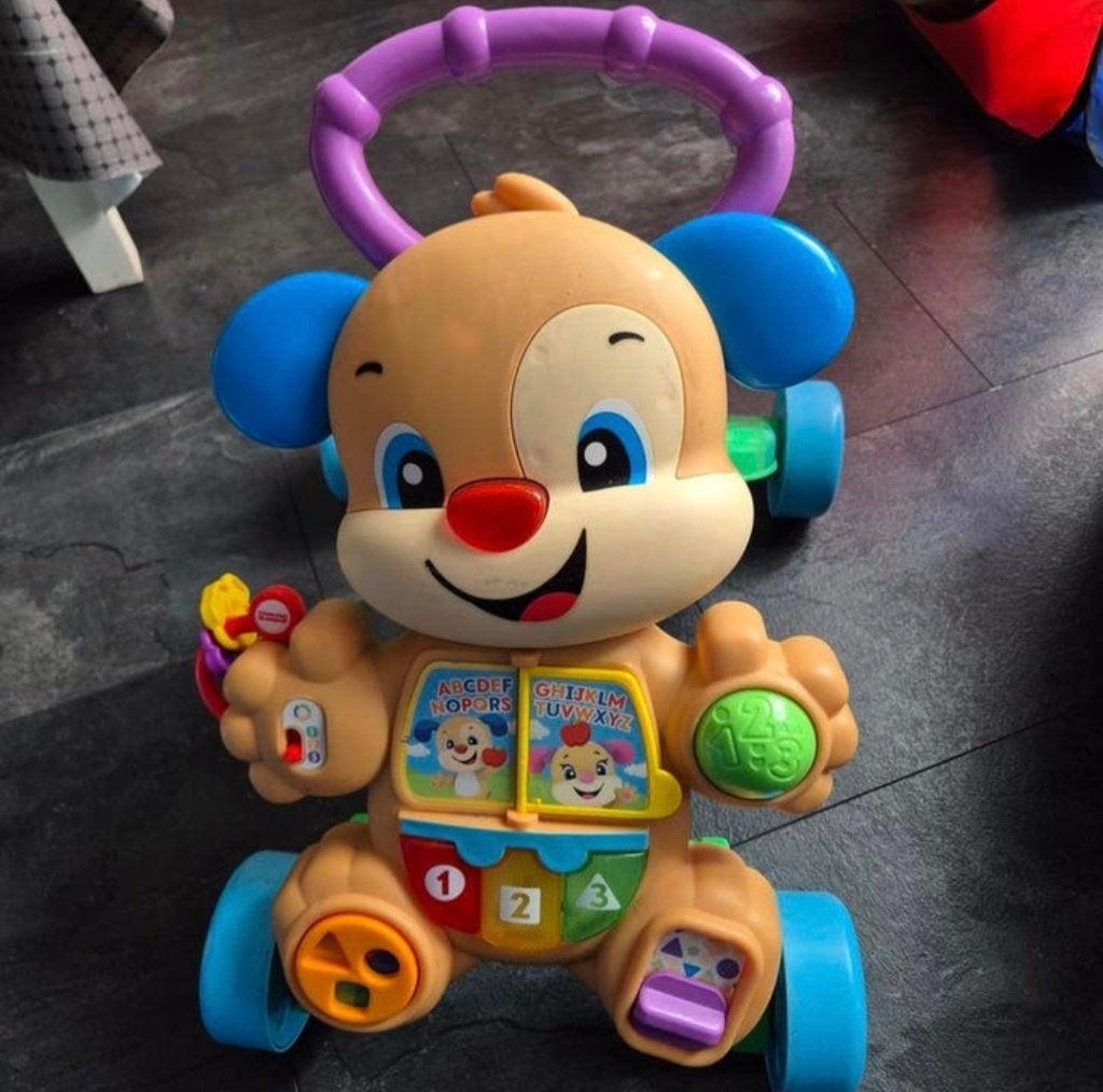 Fisher-Price loopkar hond, Ophalen of Verzenden, Gebruikt, Duw- of Trekspeelgoed, Met licht