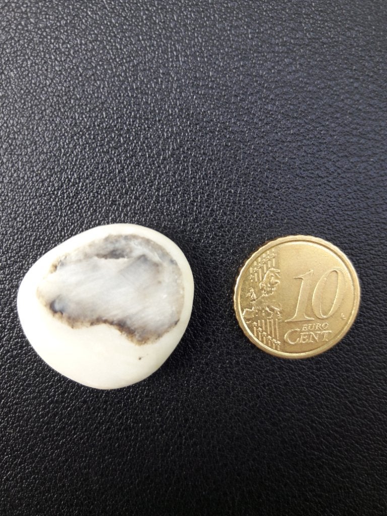 Unieke 'Capibara' strandsteen, Verzenden, Mineraal