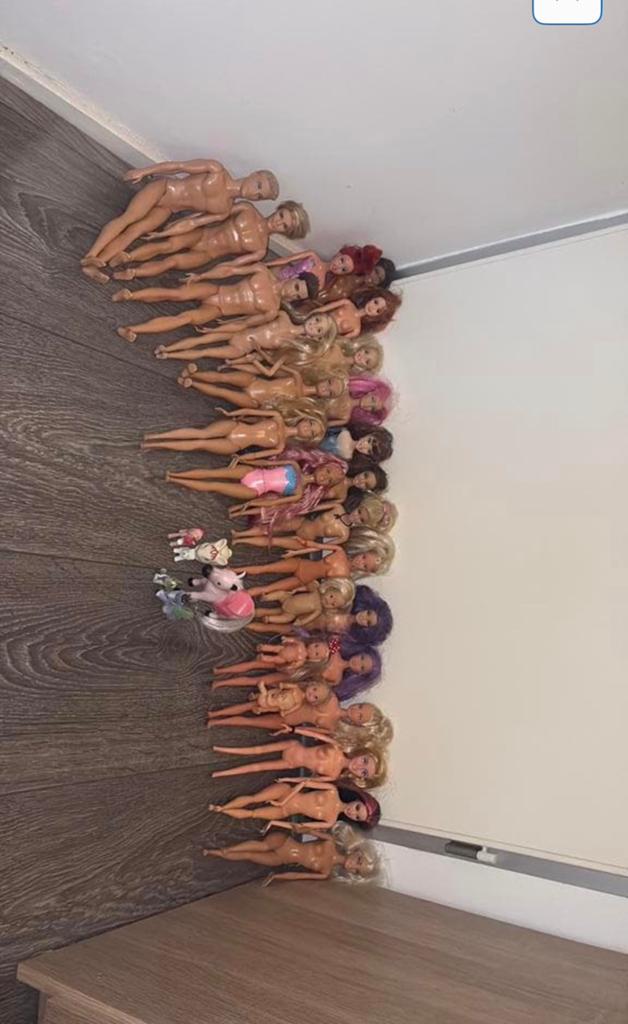 Barbies en meer!, Ophalen of Verzenden, Zo goed als nieuw