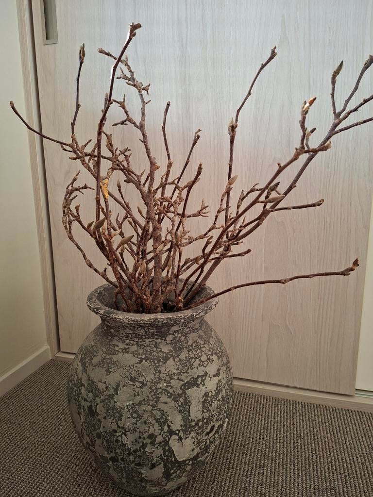 Still vaas 40 cm met magnolia takken, Ophalen, Overige materialen, Overige kleuren, Zo goed als nieuw