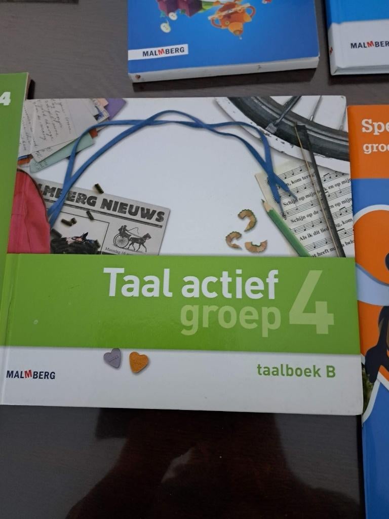 Set boeken basisschool Taal Actief, Ophalen, Zo goed als nieuw, Overige niveaus, Nederlands
