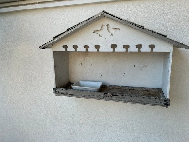 Vogelkooi, Dieren en Toebehoren, Mannelijk