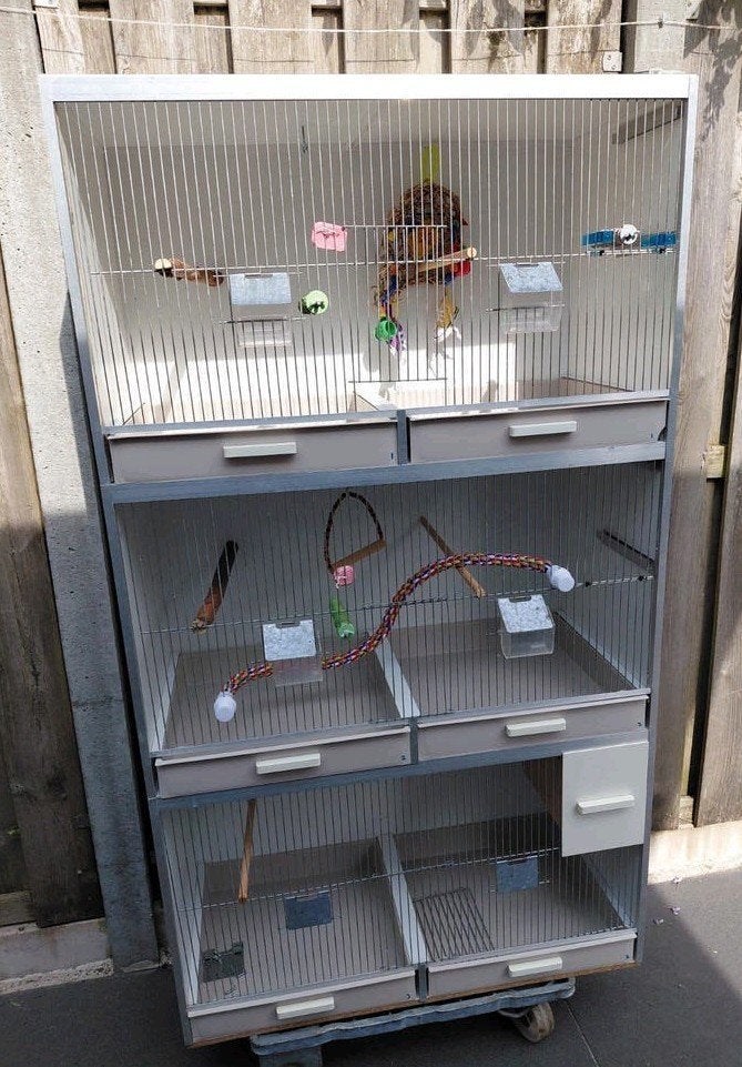 🐦 Grote 3-Vaks Vogelkooi / Kweekkooi – Compleet + LED verl., Dieren en Toebehoren, Ophalen, Gebruikt, Hout, Broedkooi of Kweekkooi