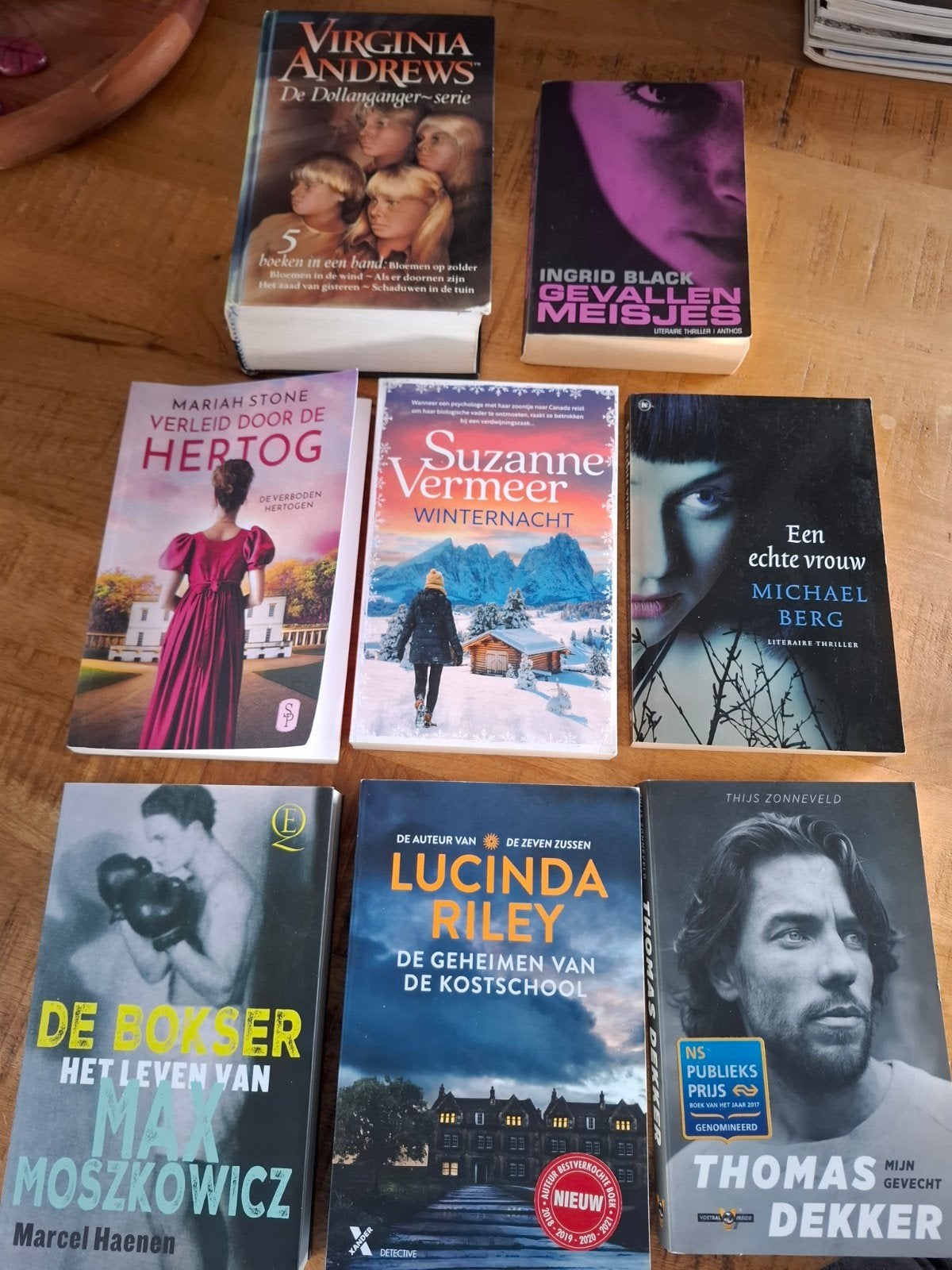 Diverse boeken: thrillers, romans en biografieën, Ophalen of Verzenden, Gelezen, Nederland