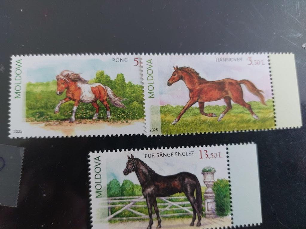 Paarden  Moldavie, Verzenden, Postfris, Dier of Natuur
