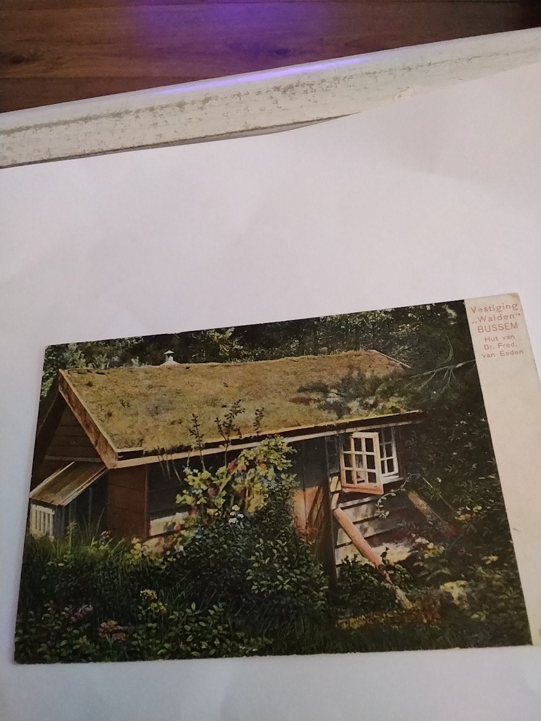 Oude briefkaart 'Hut van Dr. Van Eeden' uit 1905 BUSSUM, Ophalen of Verzenden, Voor 1920, Gelopen, Groningen