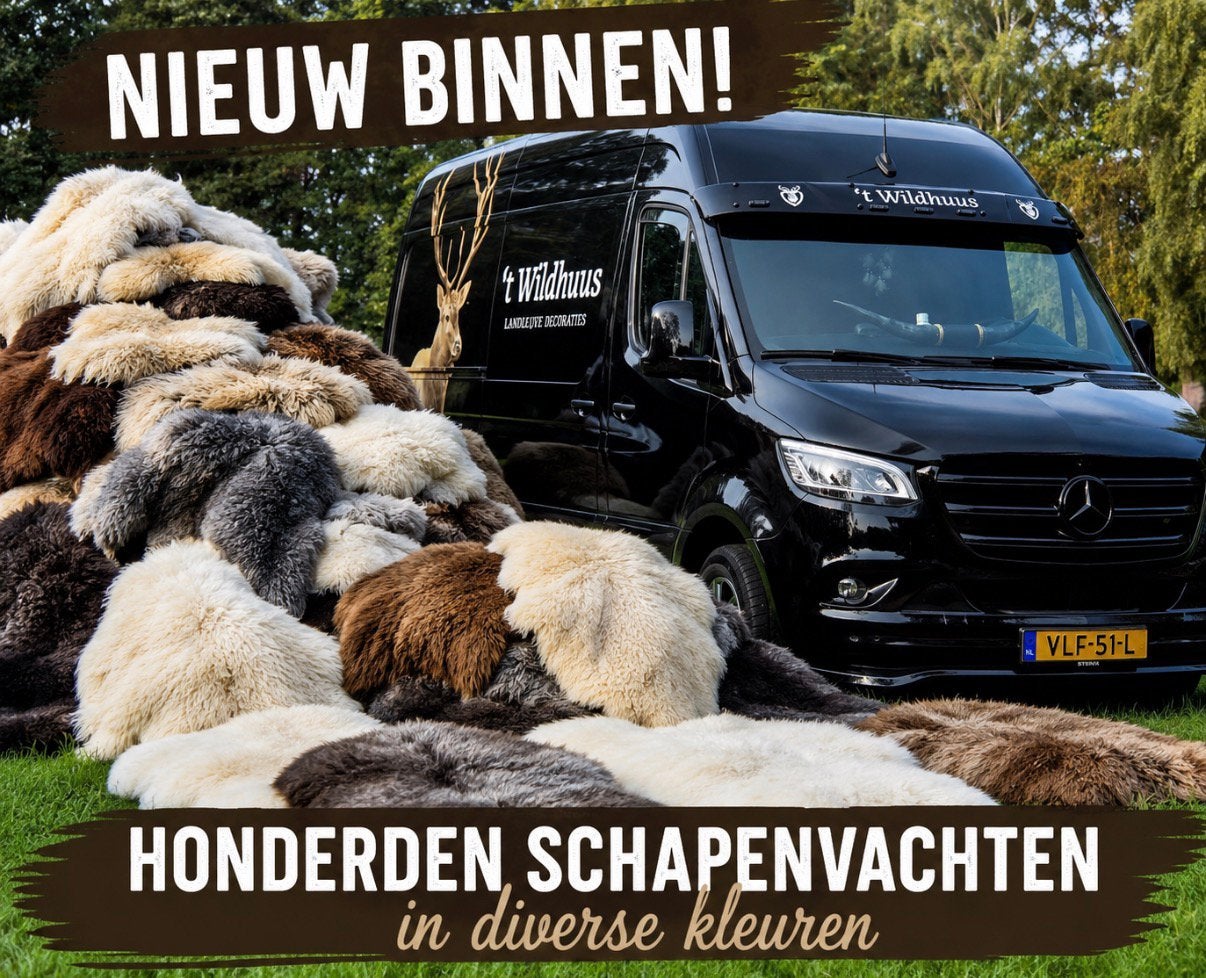 Vacht schaap schapenvacht  stoer landelijk mancave veluwe, Ophalen, Nieuw, Boerderijdier, Overige typen