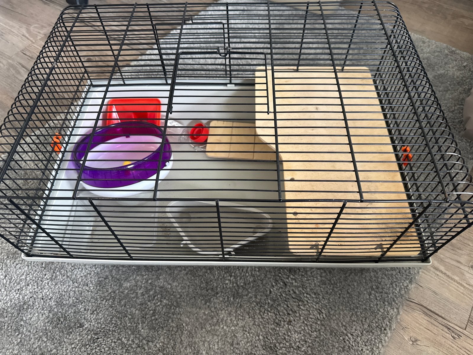 Hamsterkooi met benodigdheden, Ophalen, Gebruikt, Knaagmateriaal