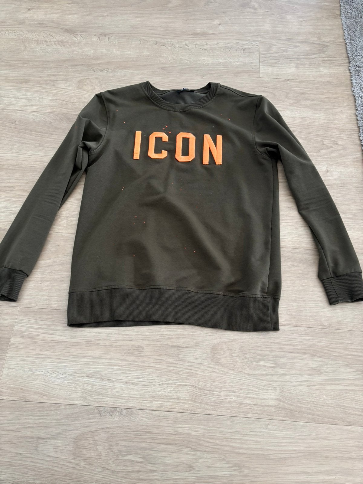 Icon Sweater maat M, Kleding | Heren, Ophalen of Verzenden, Gedragen, Groen