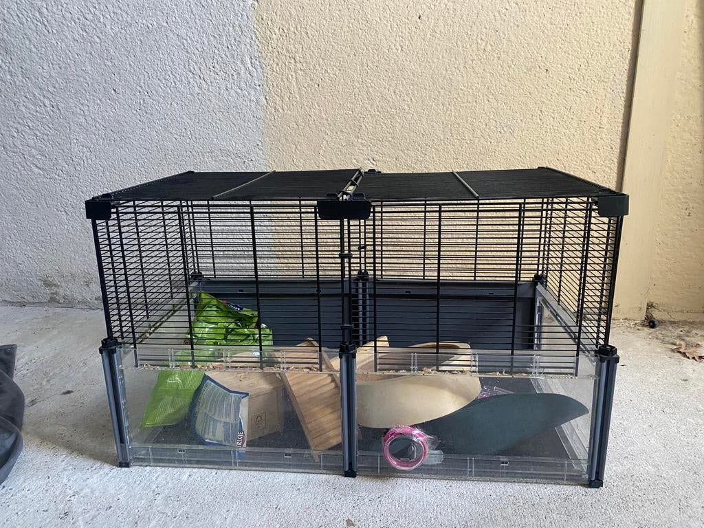 Hamsterkooi met alle benodigheden, Minder dan 60 cm, Kooi, Minder dan 75 cm, Ophalen of Verzenden