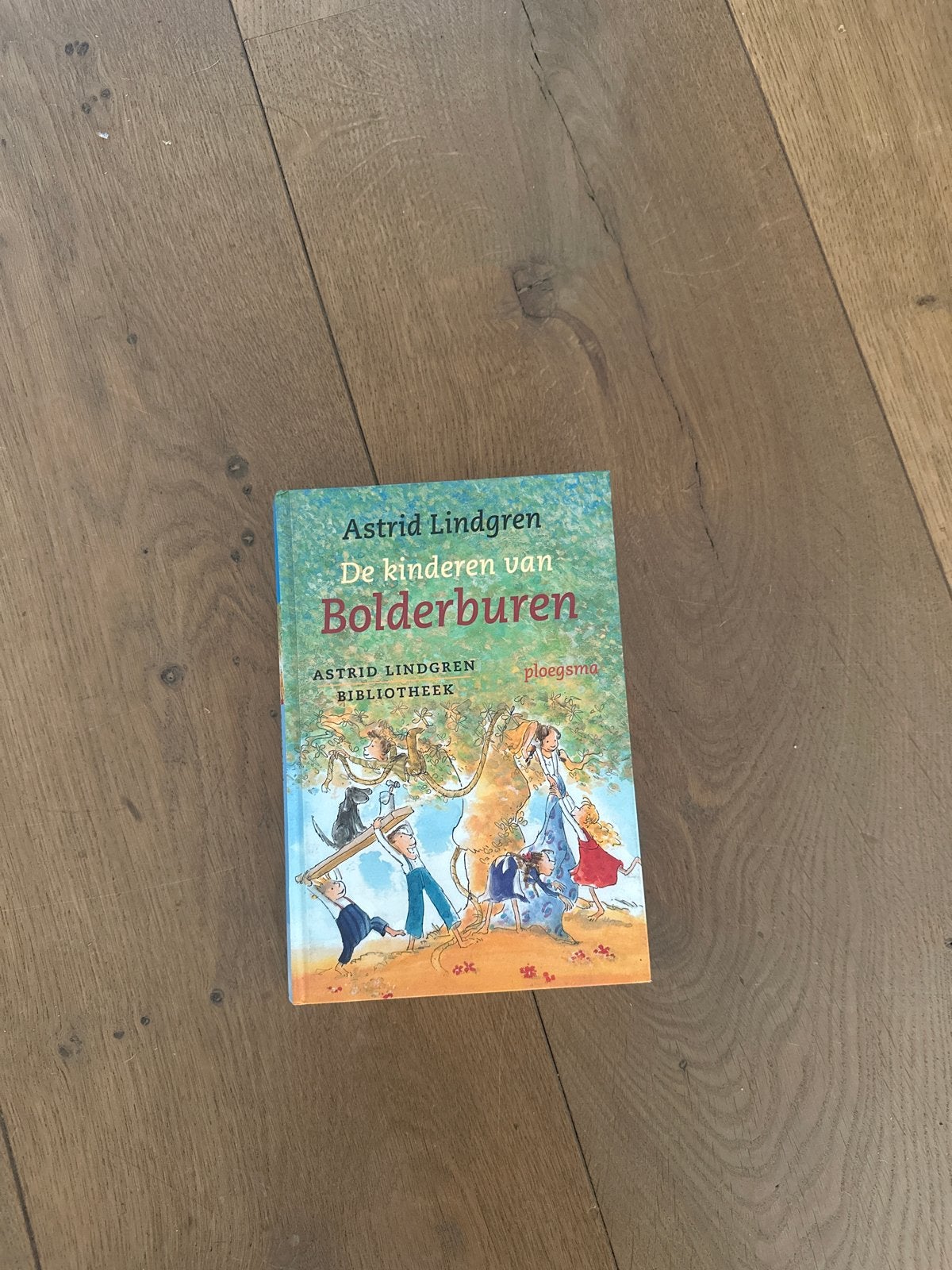 De kinderen van Bolderburen - Astrid Lindgren, Boeken, Ophalen, Zo goed als nieuw, Fictie algemeen