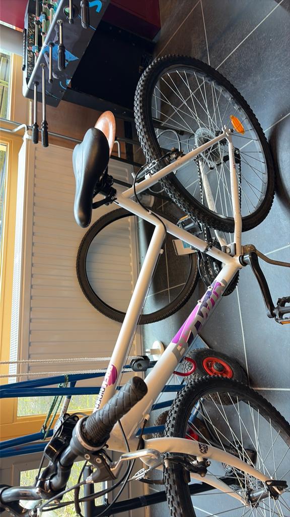 Fiets, Ophalen, Zo goed als nieuw, Staal, 24 inch of meer