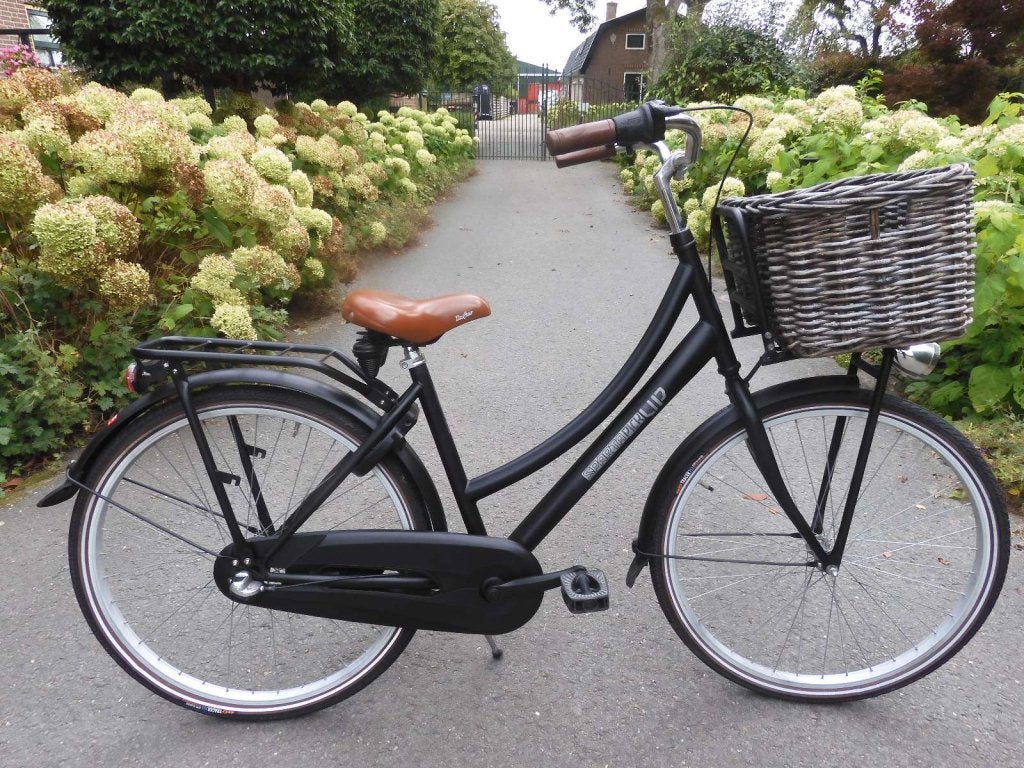 Matzwarte 26 inch Sparta Pick-up met 3 versnellingen en mand, Terugtraprem, Sparta, Versnellingen, Niet ingevuld