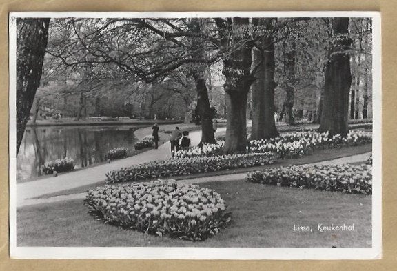 Oude ansichtkaart Keukenhof Lisse 1963, Ophalen of Verzenden, 1960 tot 1980, Gelopen, Zuid-Holland