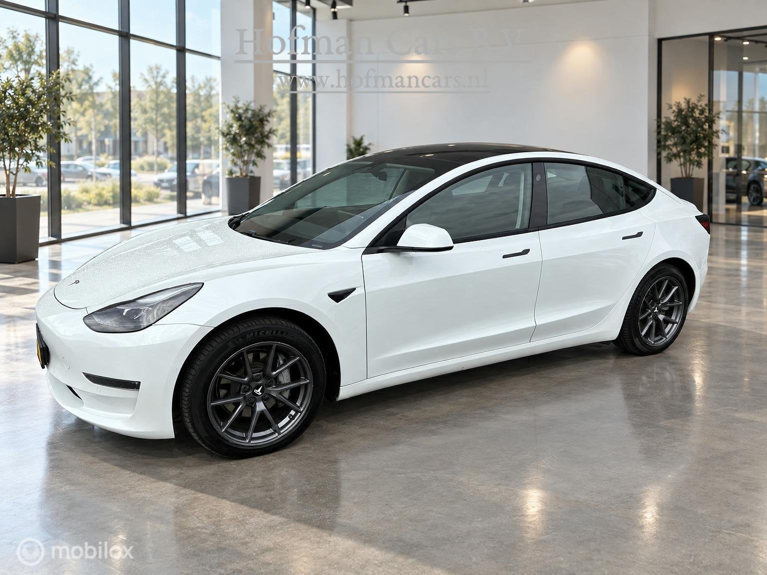 Foto 4 van Tesla Model 3 Long Range AWD 75 kWh | DUAL MOTOR | TREKHAAK