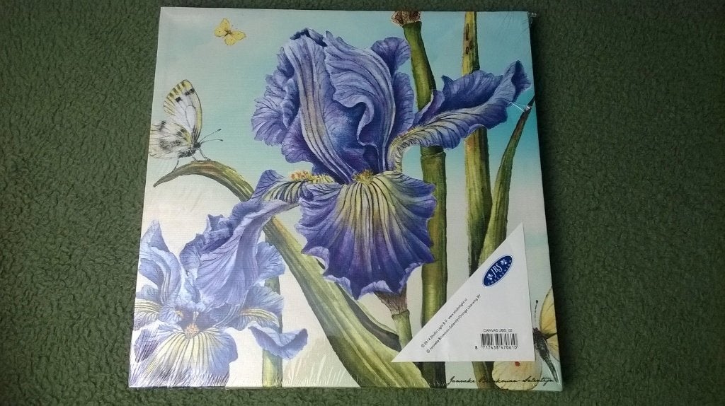 Canvas schilderij print poster op een houten frame 30x30 cm, Minder dan 50 cm, Nieuw, Ophalen of Verzenden, Print