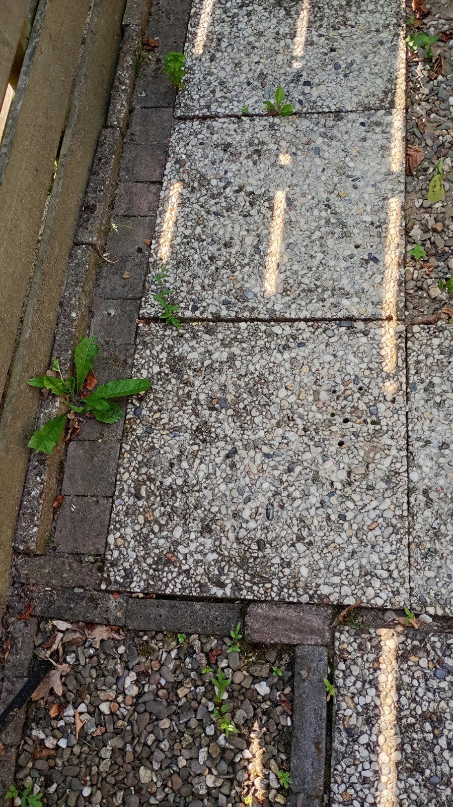 Grind tegels, Tuin en Terras, Ophalen, Gebruikt, 10 m² of meer, Beton