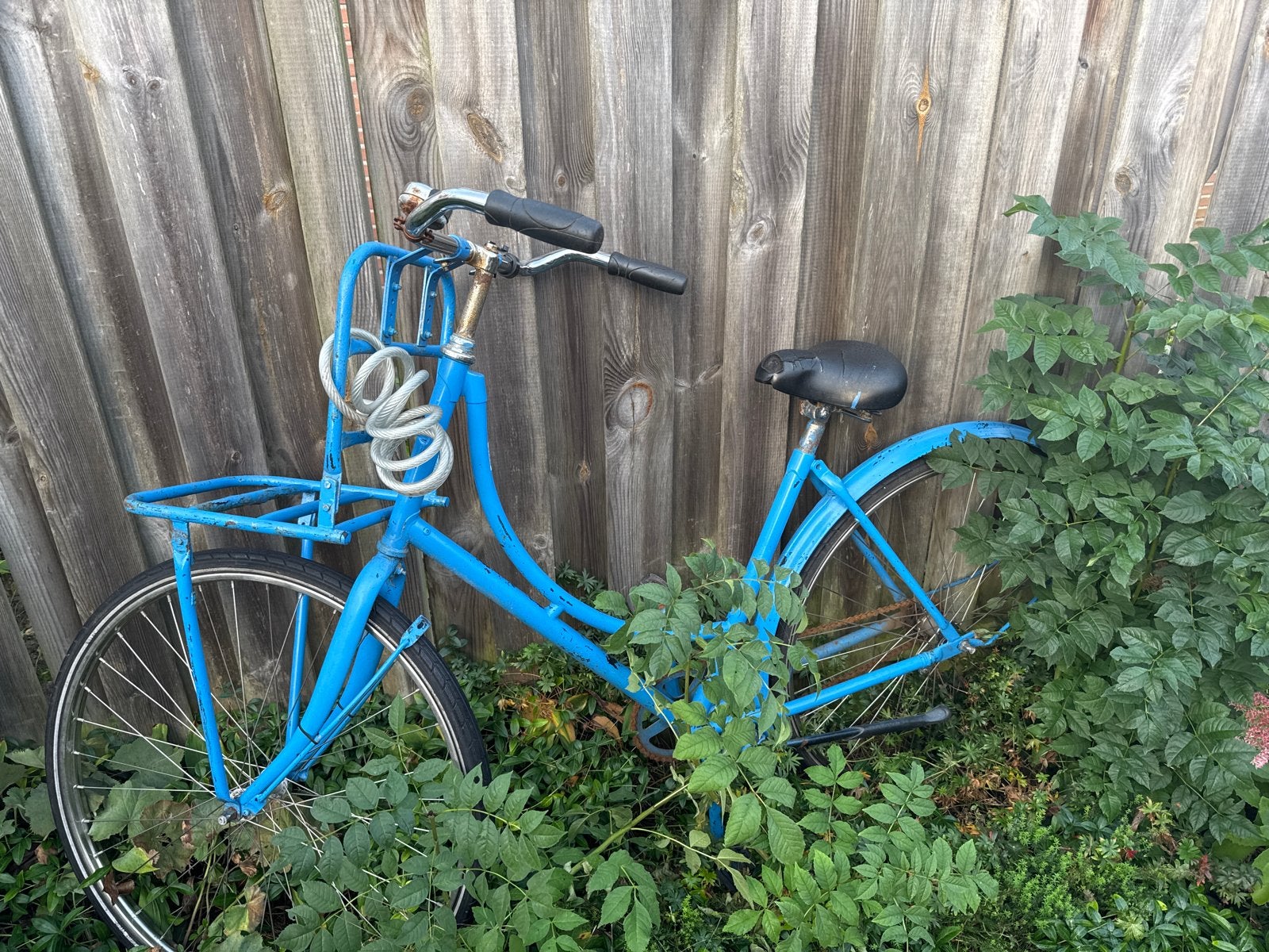 Gratis! Blauwe damesfiets met voordrager (opknapper), Velgrem, Ophalen, Overige merken, 53 tot 56 cm