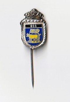 holmetaal / emaille speldje met het wapen van OSS, Ophalen of Verzenden, Gebruikt, Overige onderwerpen, Speldje of Pin