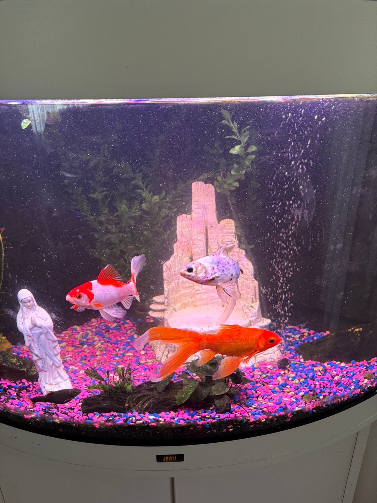 Aquarium, Dieren en Toebehoren, Ophalen, Inclusief toebehoren, Gebruikt, Overige typen