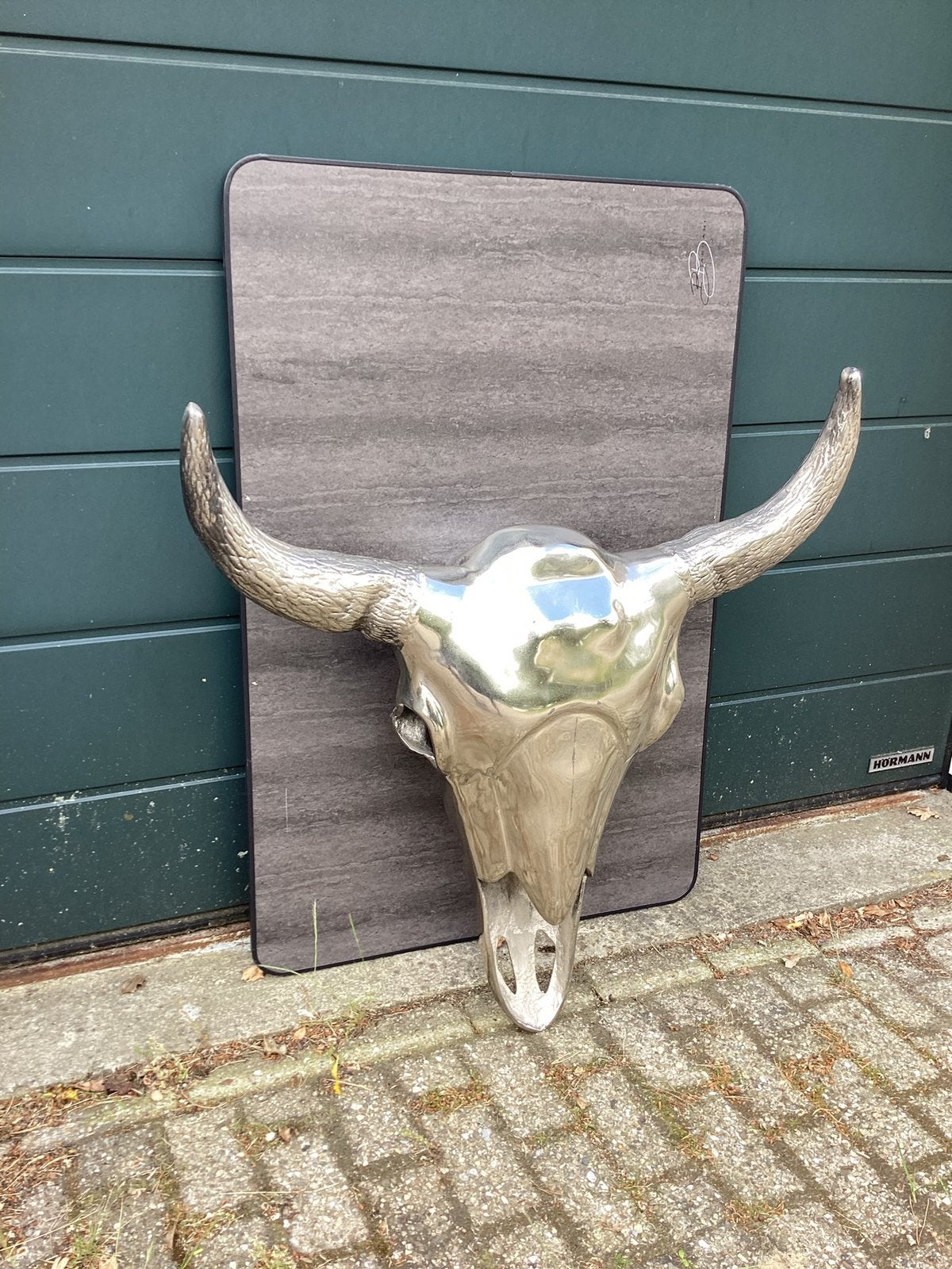 Prachtige Buffelschedel, Buffel Schedel, Ophalen, Metaal, Wandsculptuur, Zilver