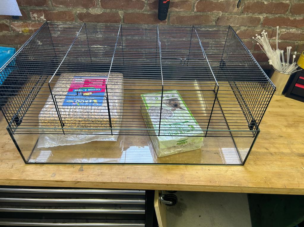 Glazen hamsterkooi, Dieren en Toebehoren, Knaagdieren en Konijnen | Hokken en Kooien, Kooi, Gebruikt, Hamster, 75 tot 110 cm