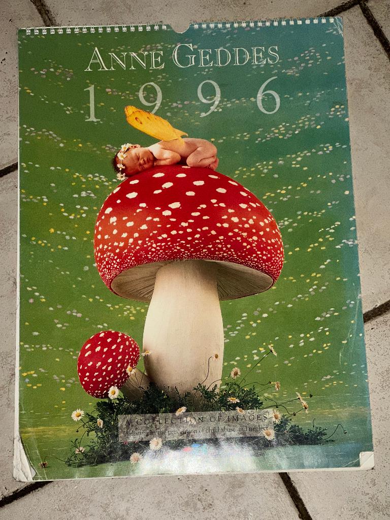 1996 ANNE GEDDES kalender groot met prachtige foto's, Ophalen, Maandkalender, Gebruikt