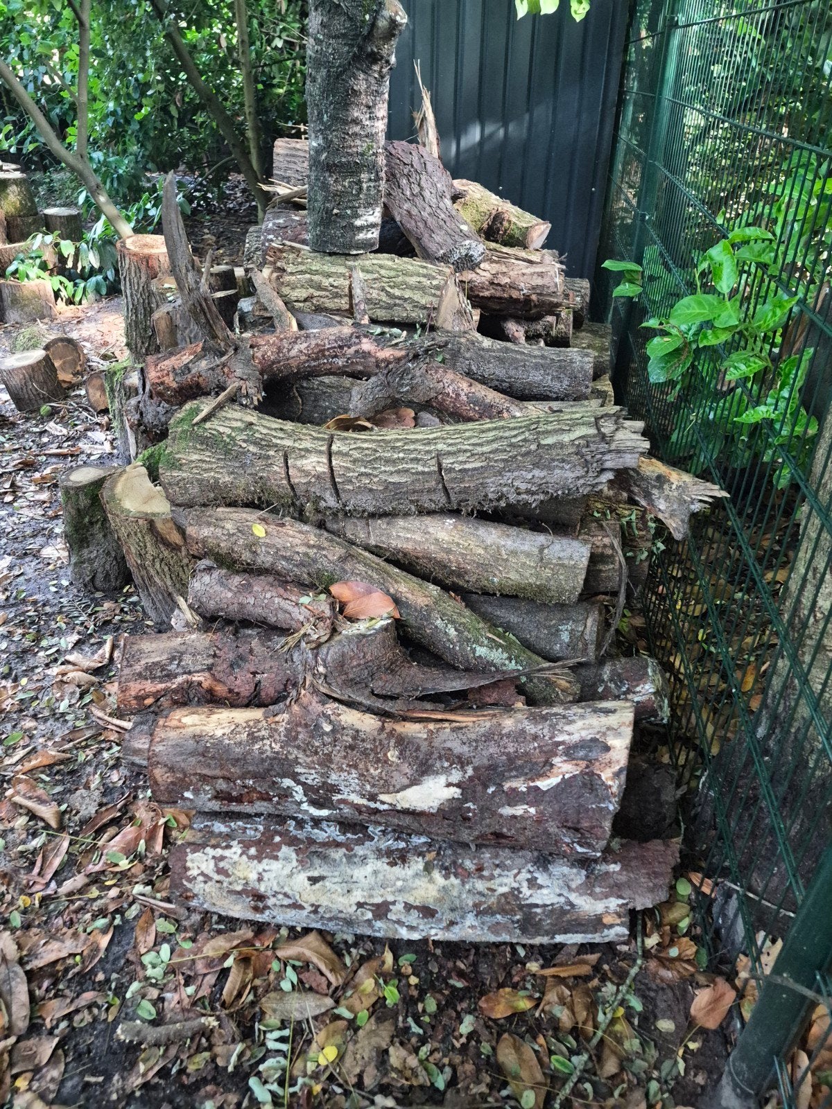 diverse stammen/ stukken brand hout, Tuin en Terras, 3 tot 6 m³, Ophalen, Overige houtsoorten, Blokken