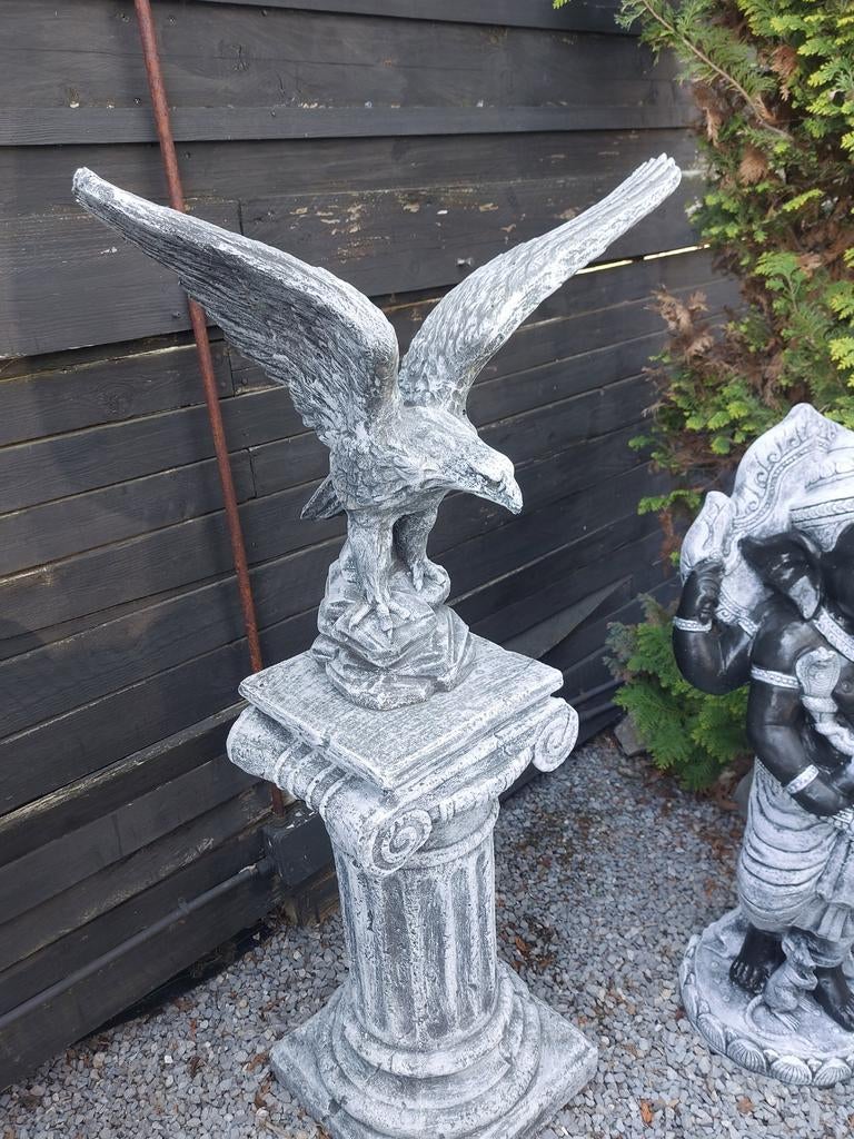 Adelaar, 60x60cm, Tuin en Terras, Ophalen, Nieuw, Beton, Dierenbeeld