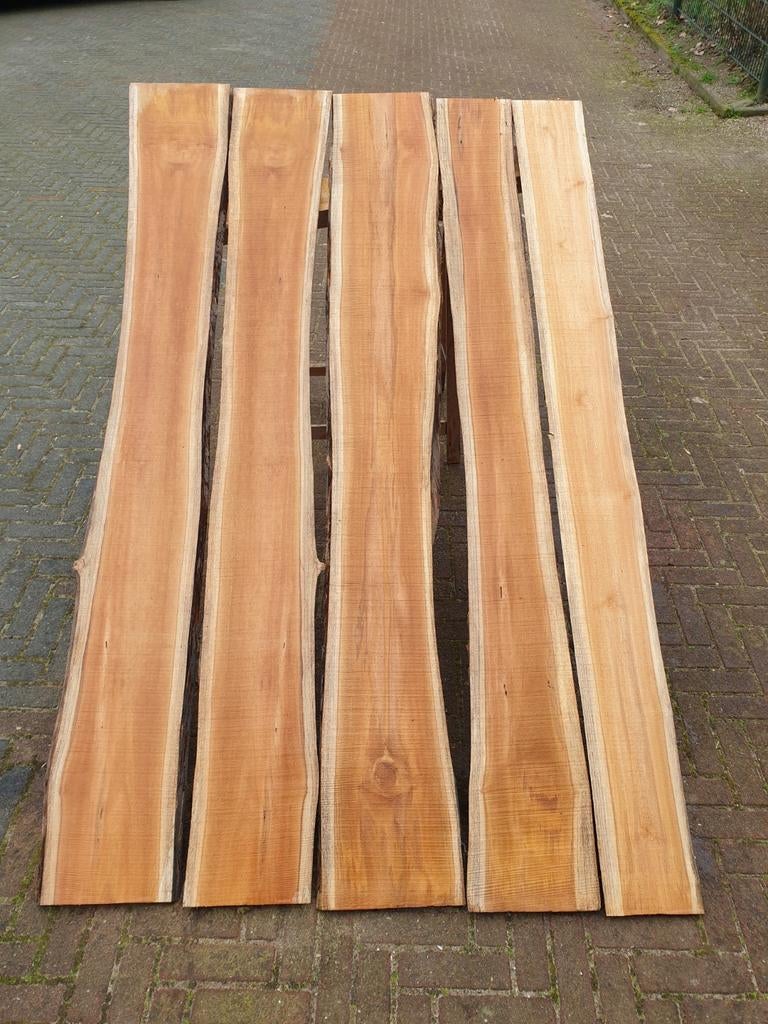 Teak Schaaldelen - Prachtige Houtstukken, Tuin en Terras, Palen, Balken en Planken, Ophalen, Planken, Nieuw, Hardhout