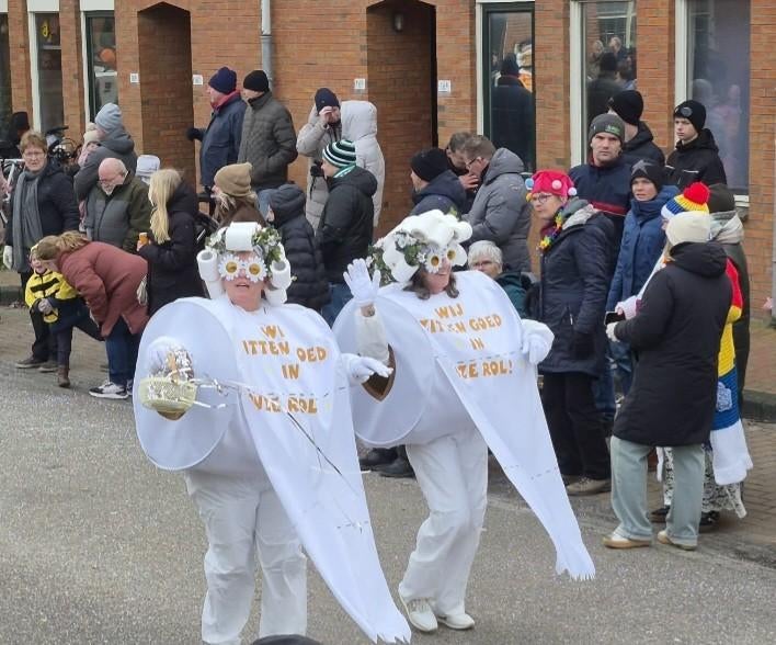 Carnavalskleding - Origineel kostuum!, Carnaval, Maat 42/44 (L), Ophalen of Verzenden, Kleding