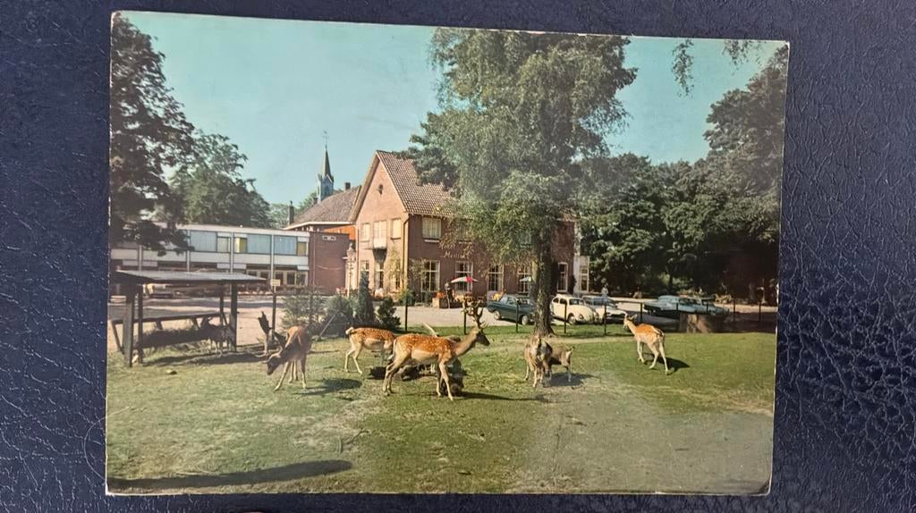 Barchem, Verzamelen, Ansichtkaarten | Nederland, Ophalen of Verzenden, 1960 tot 1980, Ongelopen, Gelderland