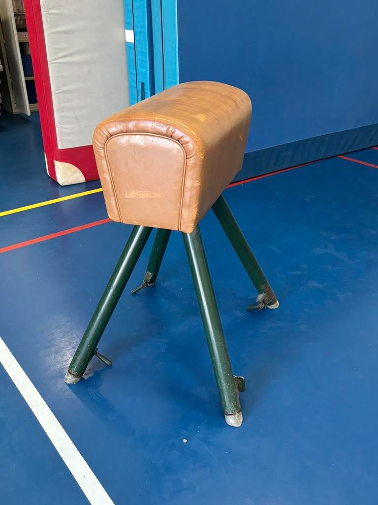 Turnbok, Sport en Fitness, Turnen, Ophalen, Gebruikt, Materiaal