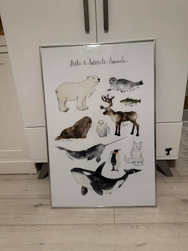 Ingelijste poster 60x90 cm, Ophalen, Zo goed als nieuw