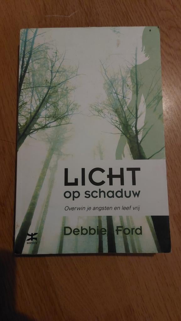 Debbie Ford - Licht op schaduw, Boeken, Gelezen, Spiritualiteit algemeen, Ophalen of Verzenden, Achtergrond en Informatie